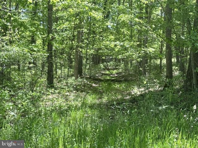 Turkey Neck Rd #lot 12 Property Photo 9