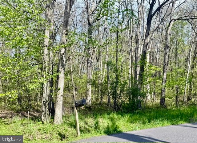 Turkey Neck Rd #lot 12 Property Photo 11
