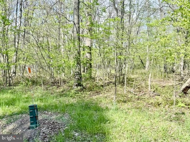 Turkey Neck Rd #lot 12 Property Photo 12