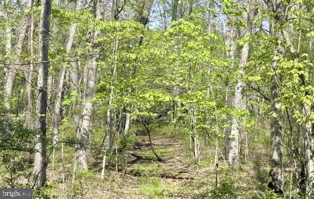 Turkey Neck Rd #lot 12 Property Photo 13