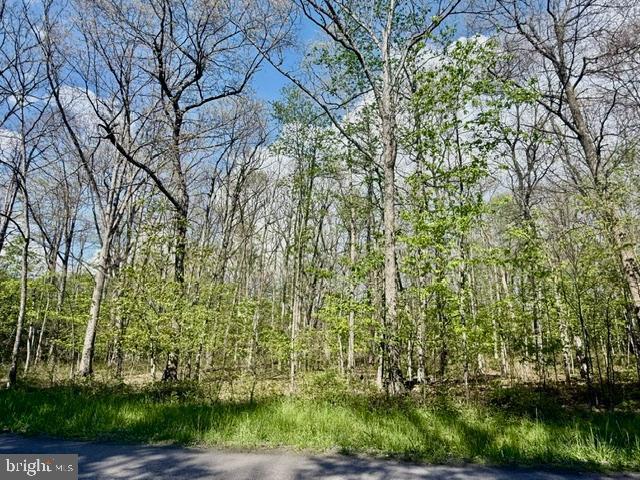 Turkey Neck Rd #lot 12 Property Photo 14