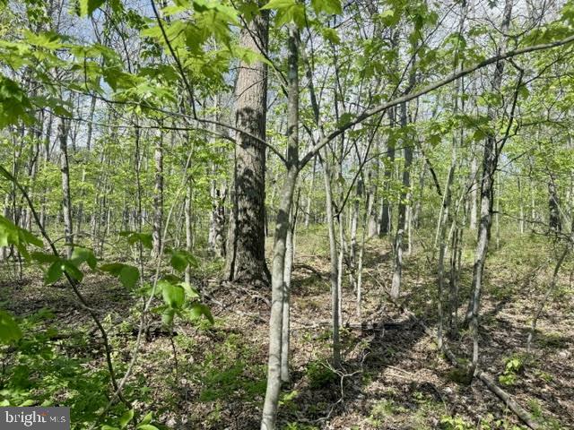 Turkey Neck Rd #lot 12 Property Photo 15