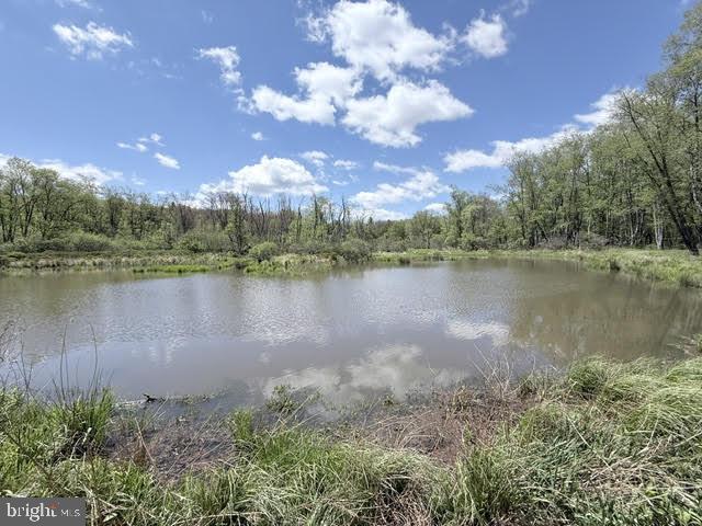 Turkey Neck Rd #lot 12 Property Photo 23