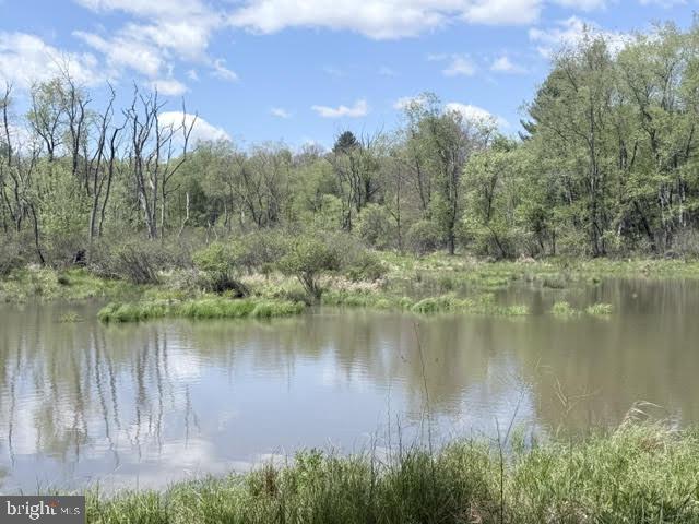 Turkey Neck Rd #lot 12 Property Photo 25