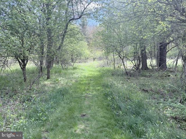 Turkey Neck Rd #lot 12 Property Photo 26