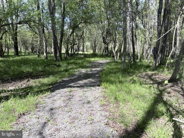 Turkey Neck Rd #lot 12 Property Photo 28