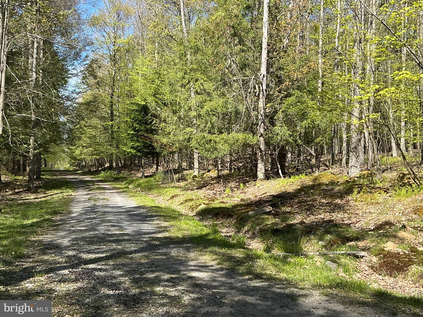 6.89 Acres Woodlands Hill Dr Dr Property Photo 3