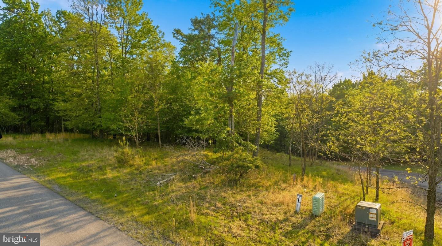 Lot 9 Woodlands Hill Ln Property Photo 7
