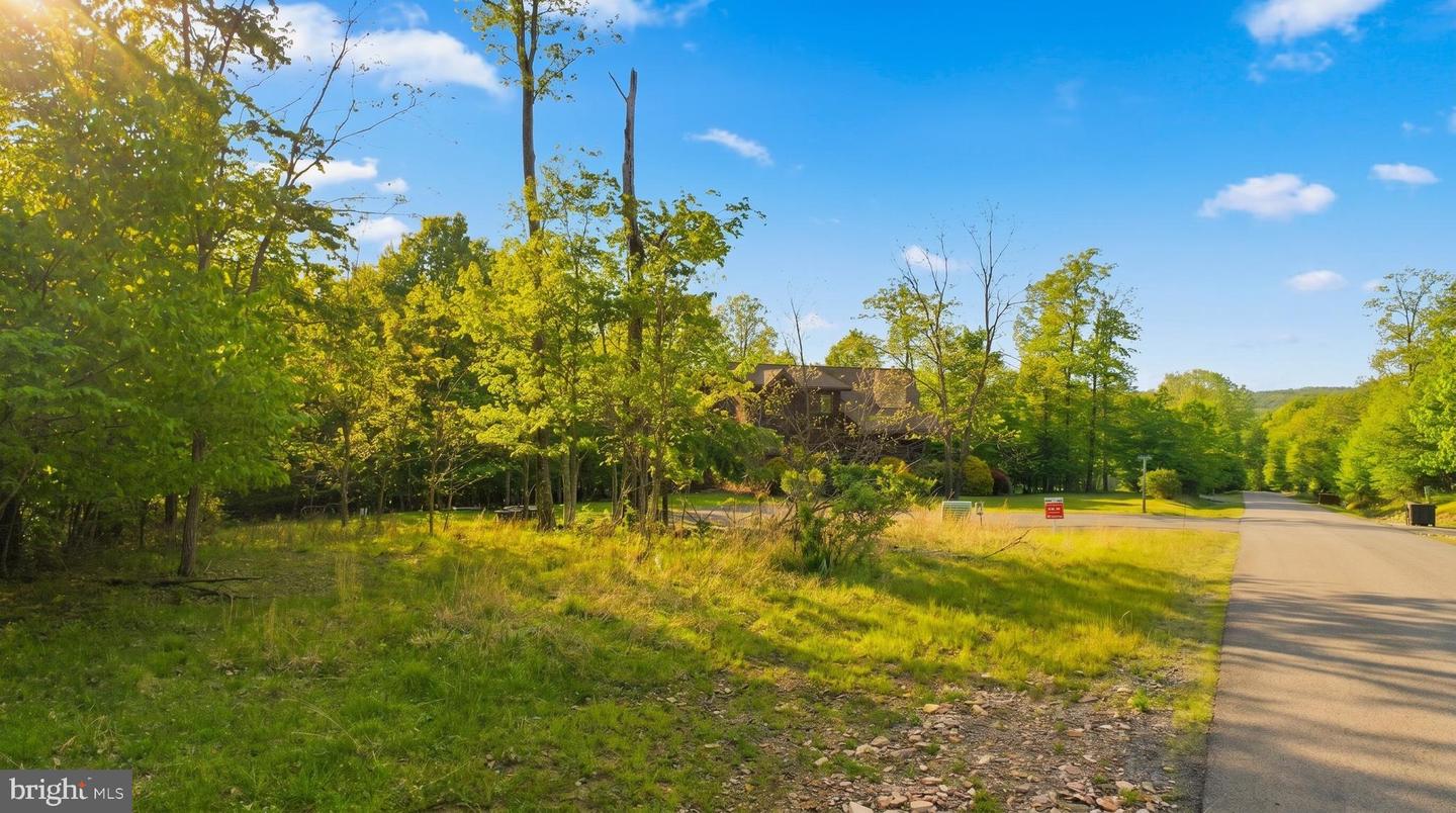 Lot 9 Woodlands Hill Ln Property Photo 8