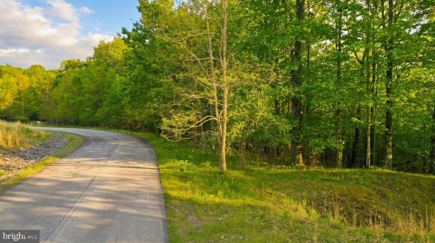 Lot 10 Woodlands Hill Ln Property Photo 6