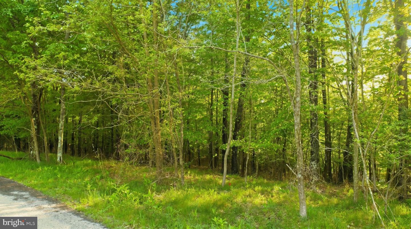 Lot 10 Woodlands Hill Ln Property Photo 8