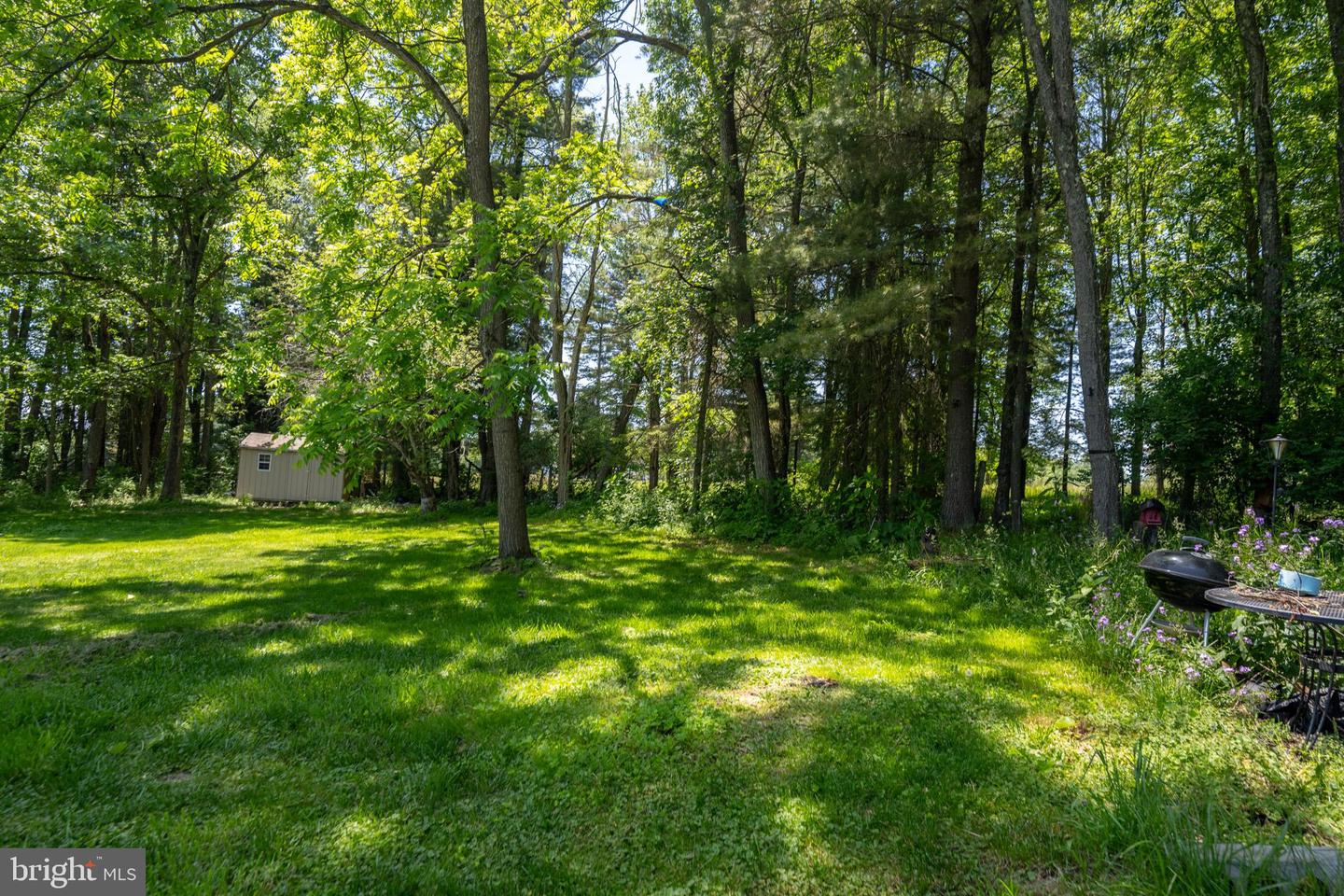 797 Noah Frazee Rd Property Photo 3