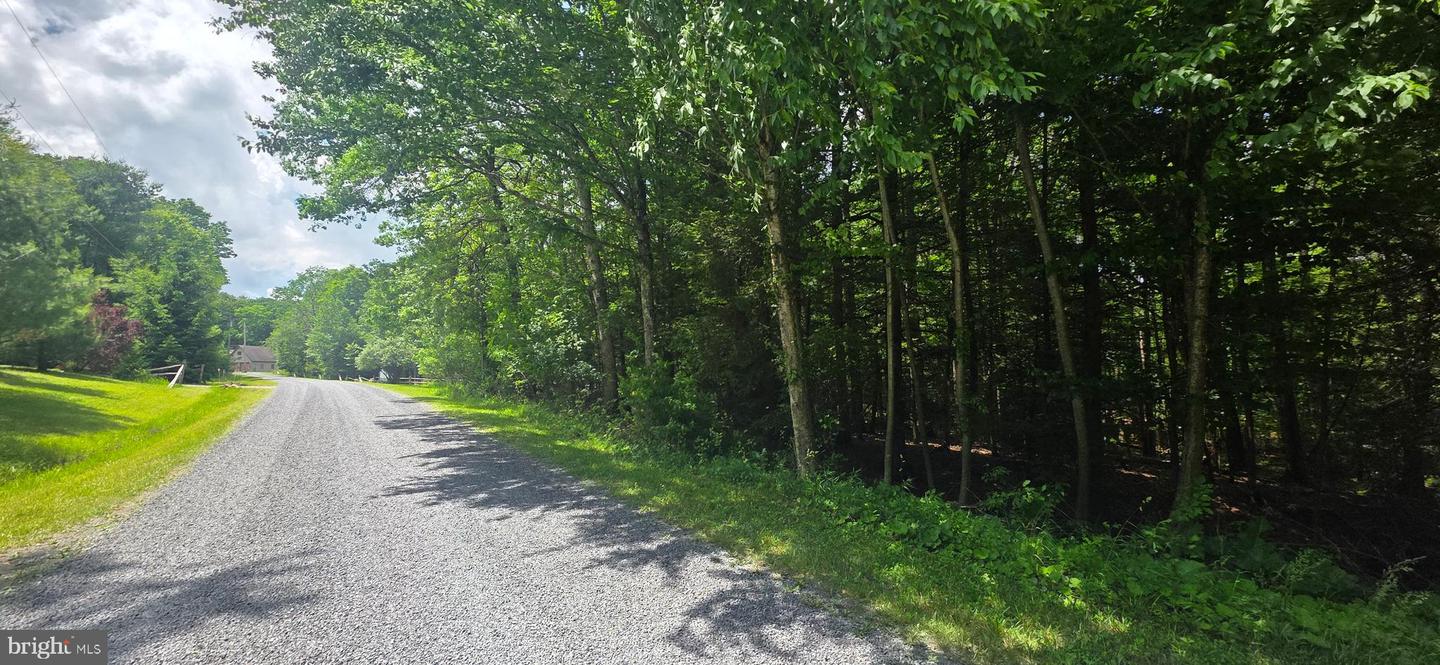 Maple Del Ln Property Photo 2