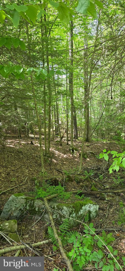 Maple Del Ln Property Photo 3