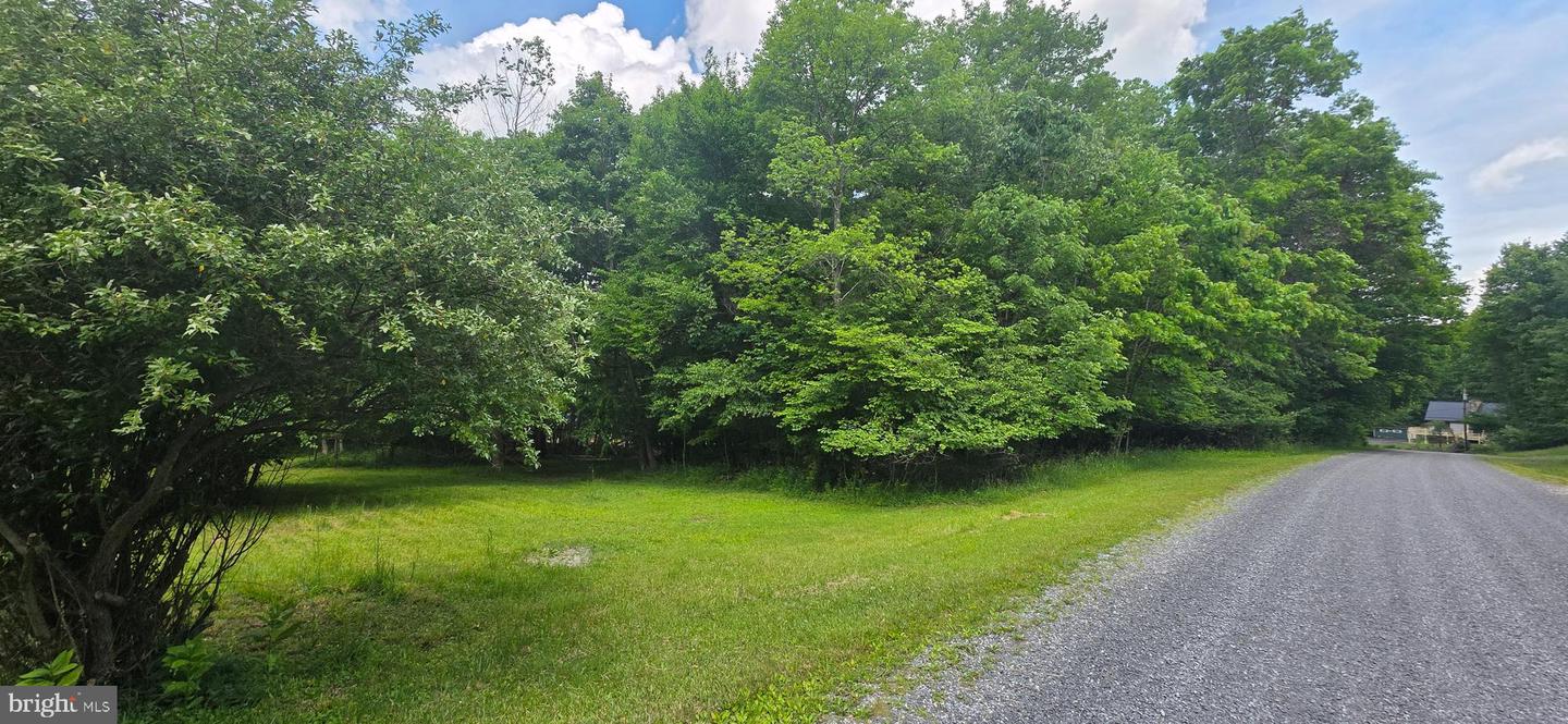 Maple Del Ln Property Photo 4