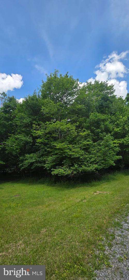 Maple Del Ln Property Photo 6