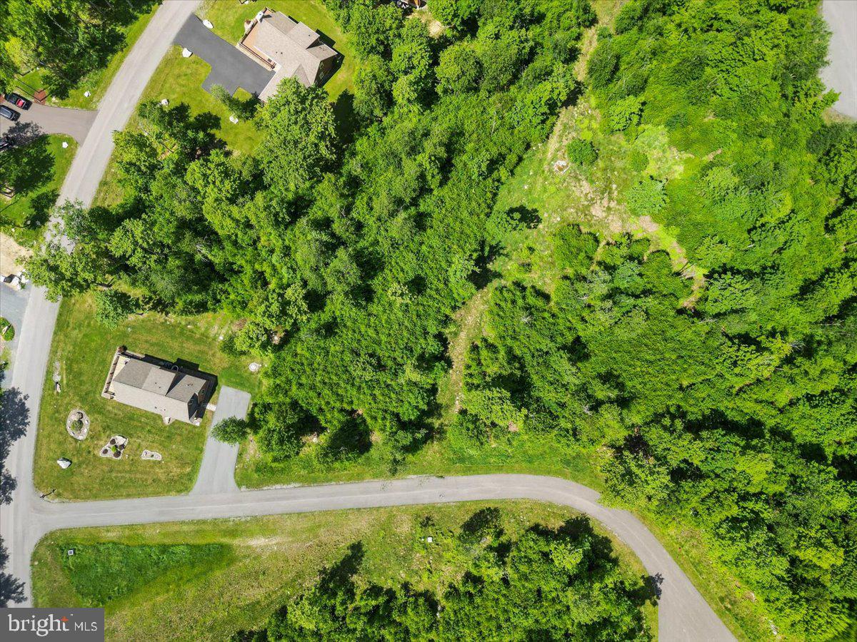 31 Fox Run Dr Property Photo 5