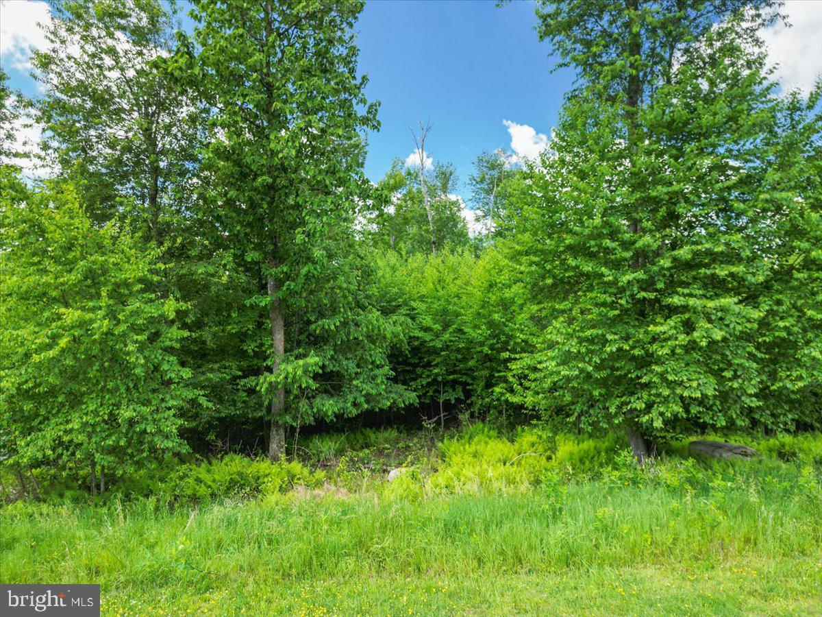 31 Fox Run Dr Property Photo 8
