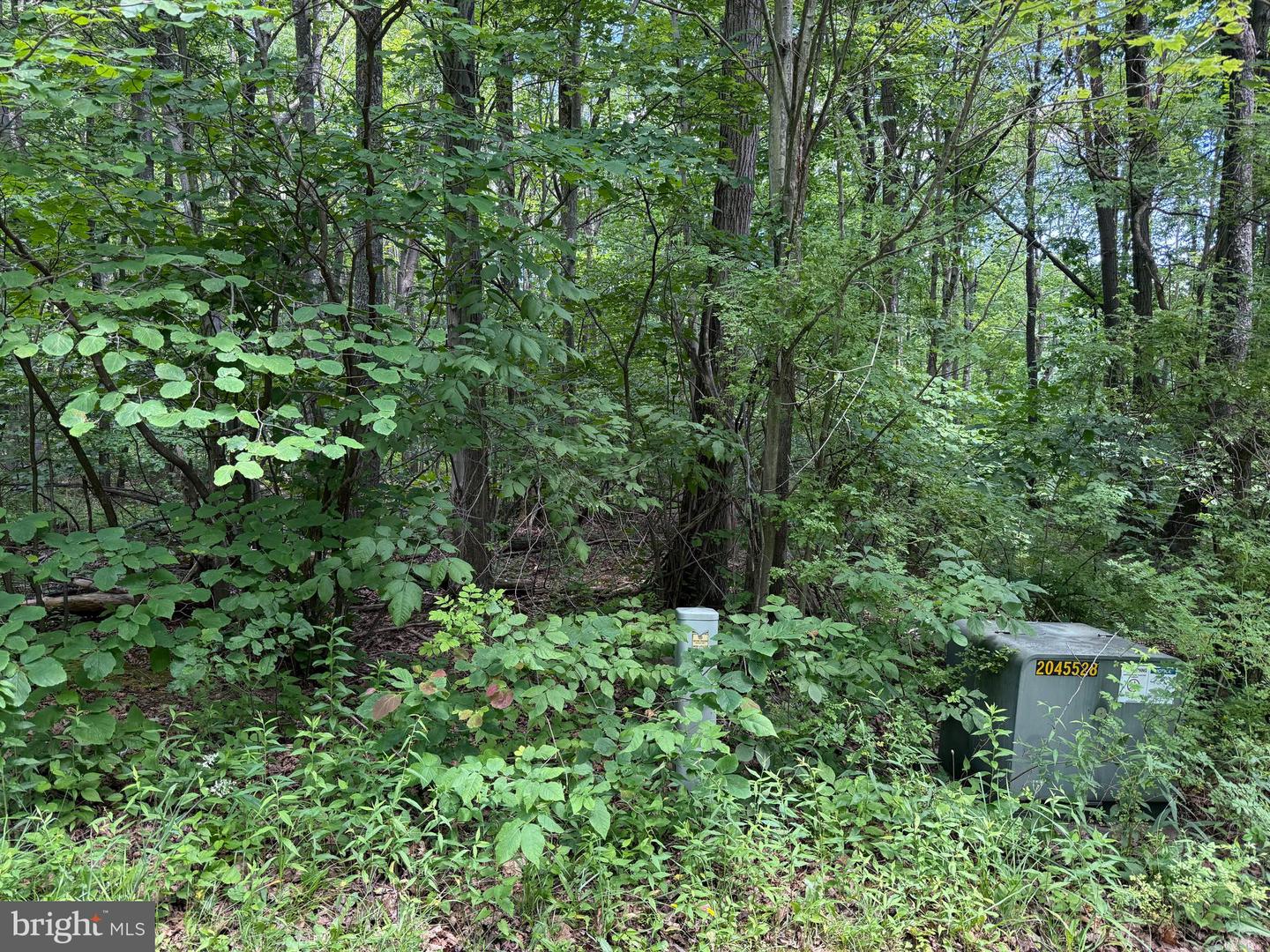 Apex Court Property Photo 1