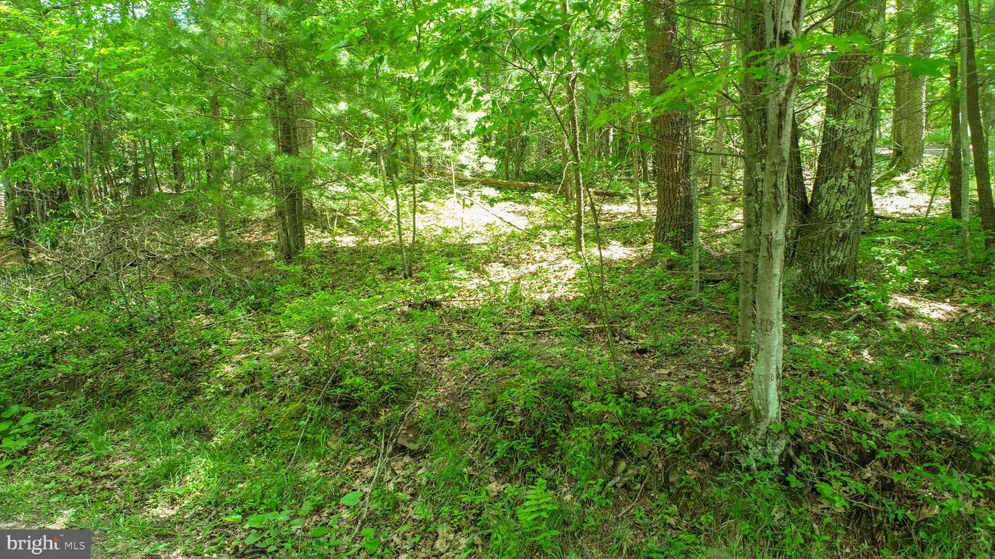 N Glade Rd Property Photo 14