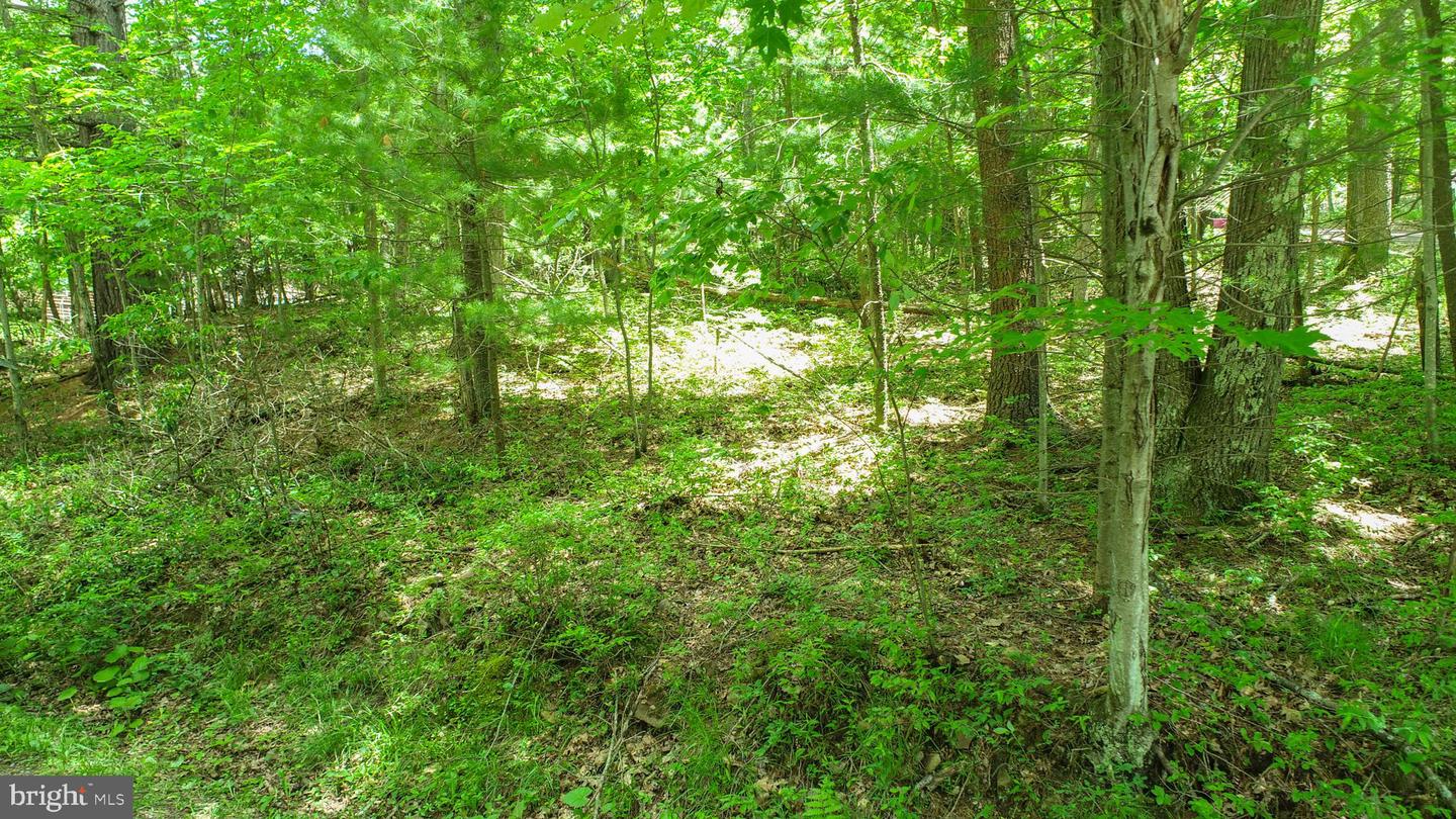 N Glade Rd Property Photo 15