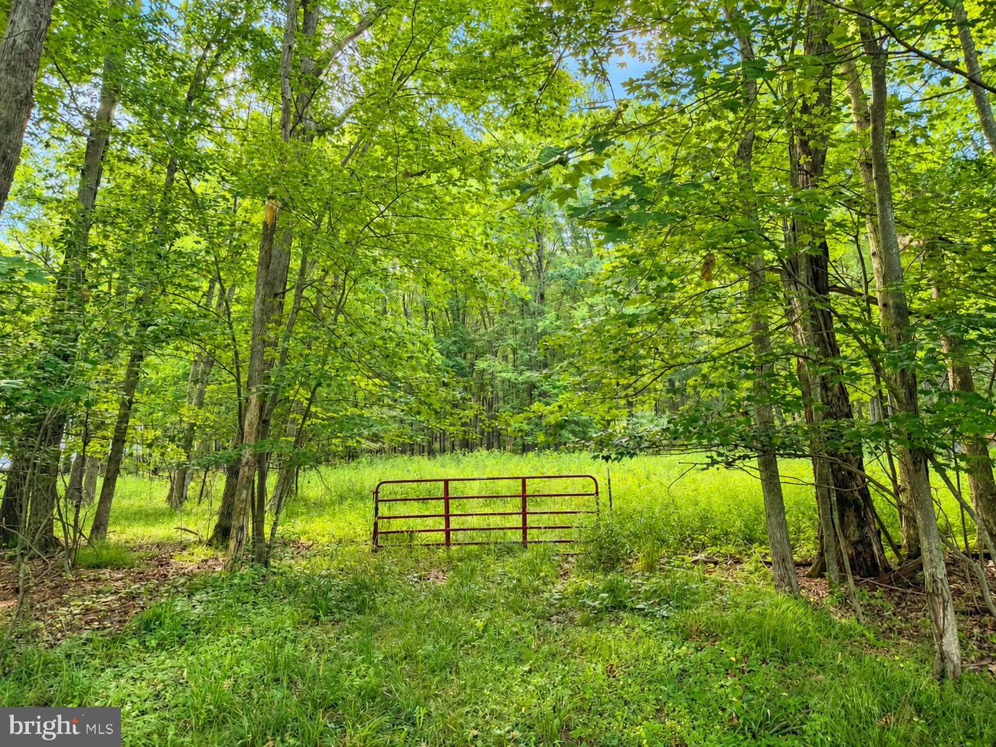 Lot B Loch Deer Road Property Photo 5
