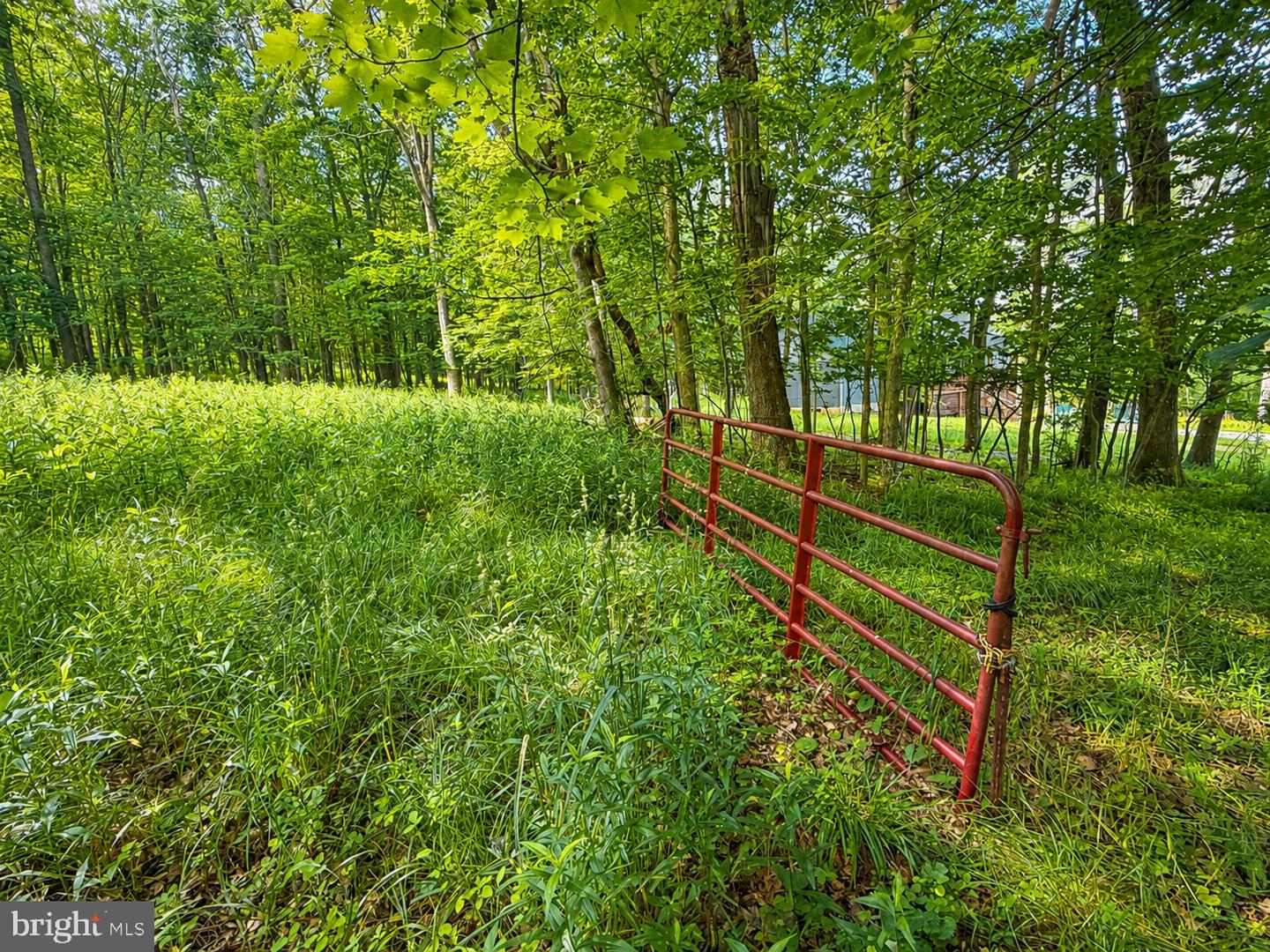 Lot B Loch Deer Road Property Photo 6