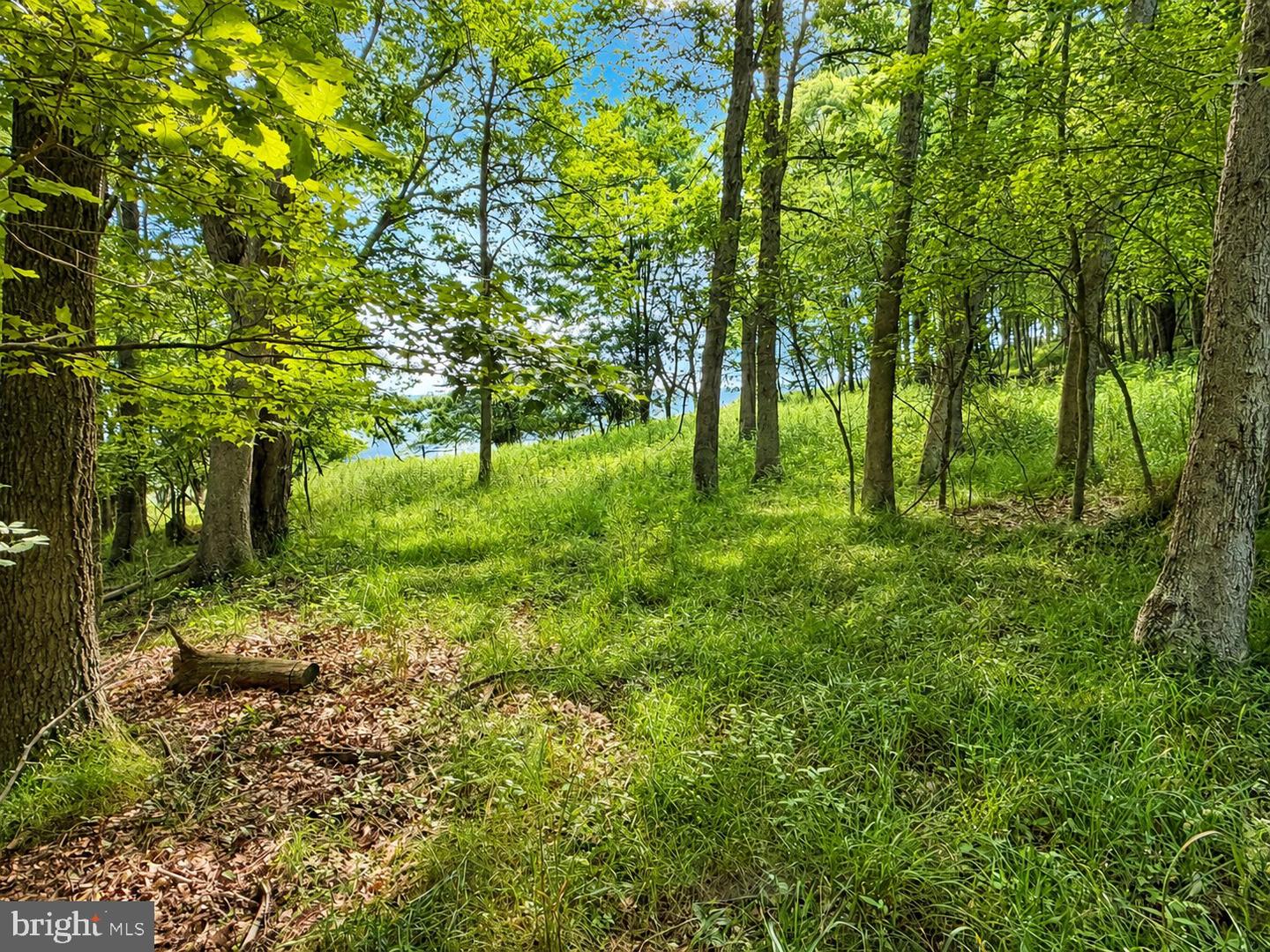Lot B Loch Deer Road Property Photo 7
