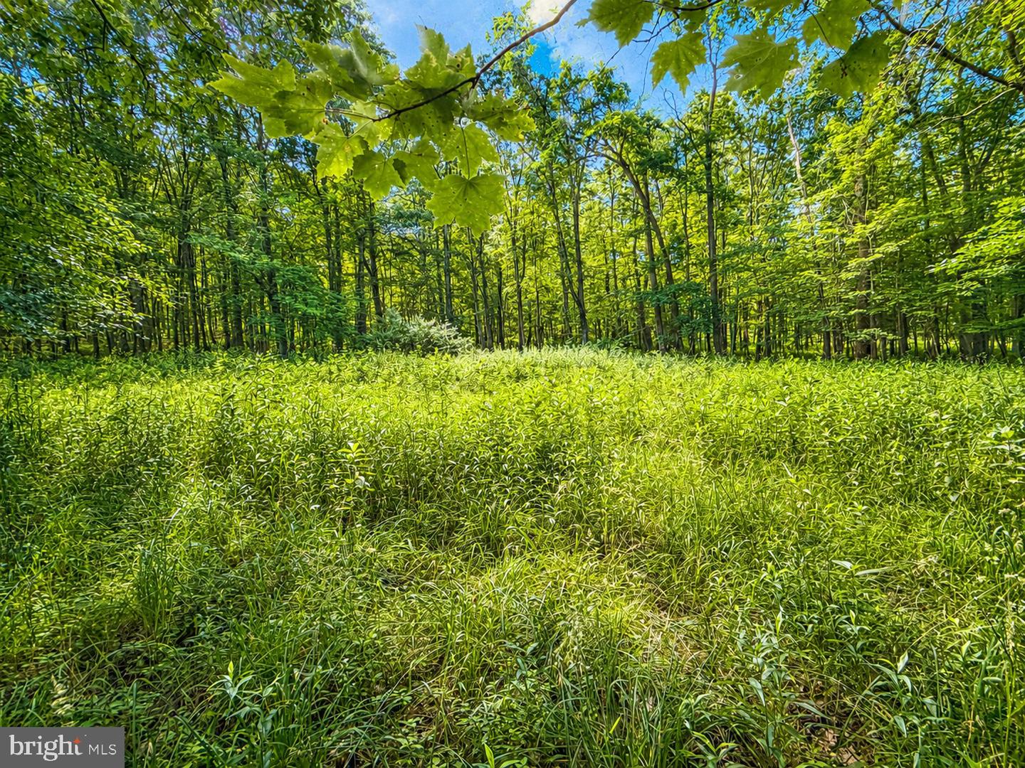 Lot B Loch Deer Road Property Photo 8
