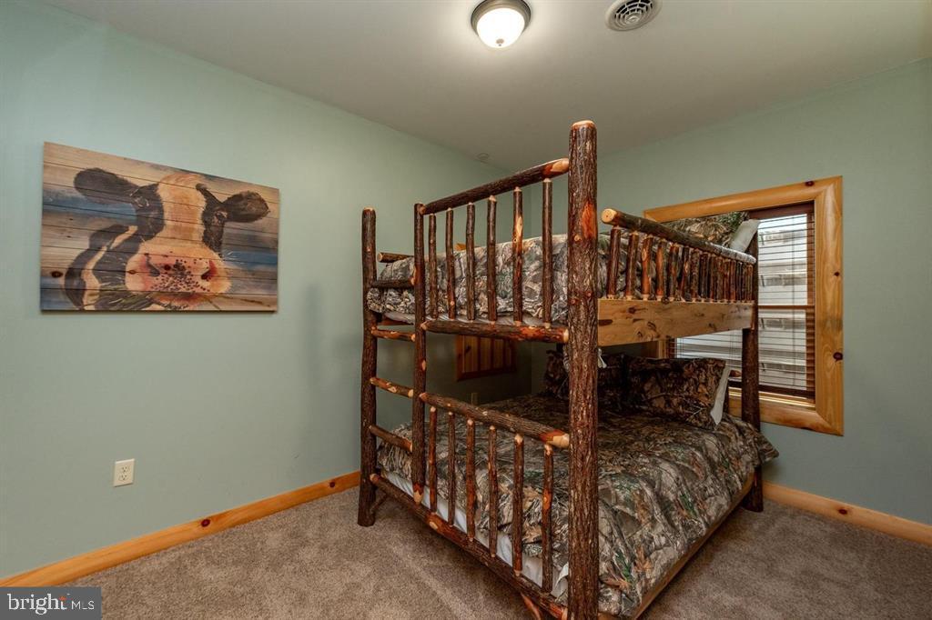260 Biltmore Ridge Trl Property Photo 46