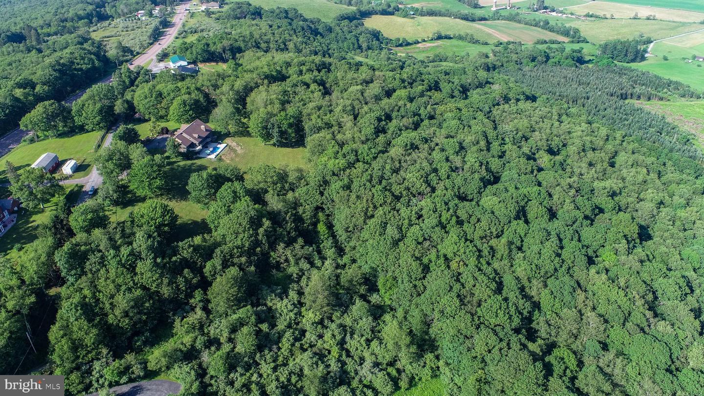 17240 Garrett Hwy Property Photo 99