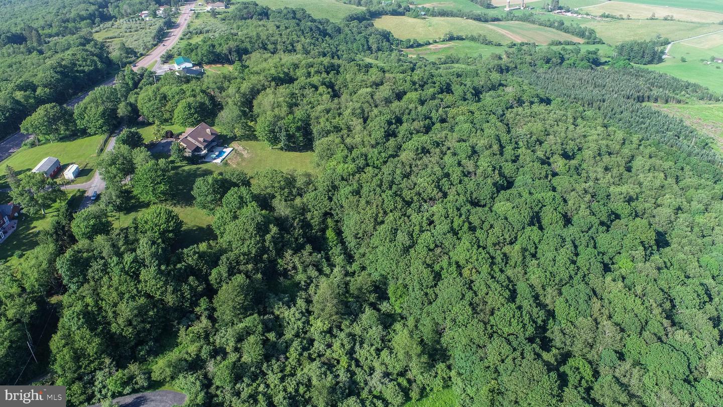17240 Garrett Hwy Property Photo 100