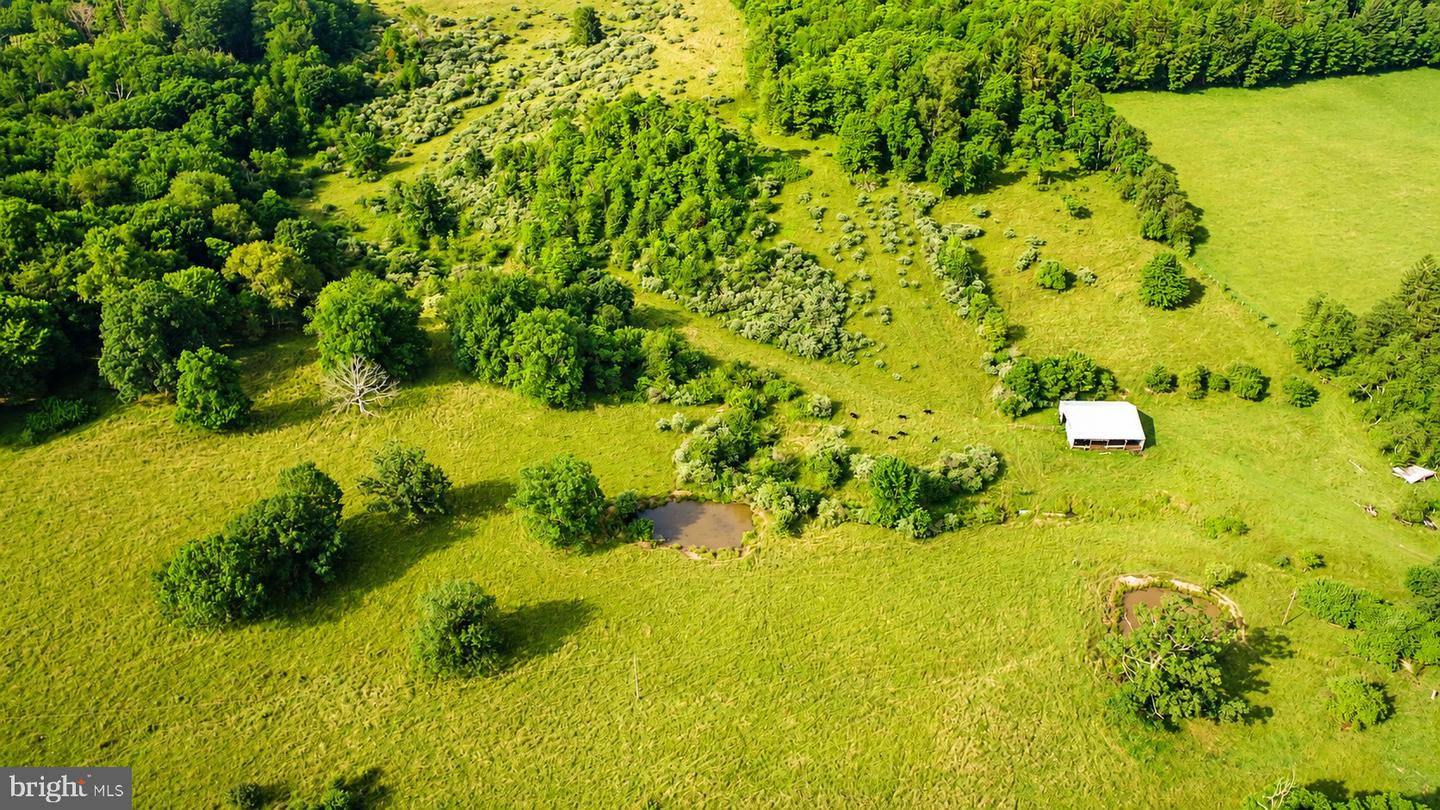 97 Acres Lot C Garrett Road Property Photo 3