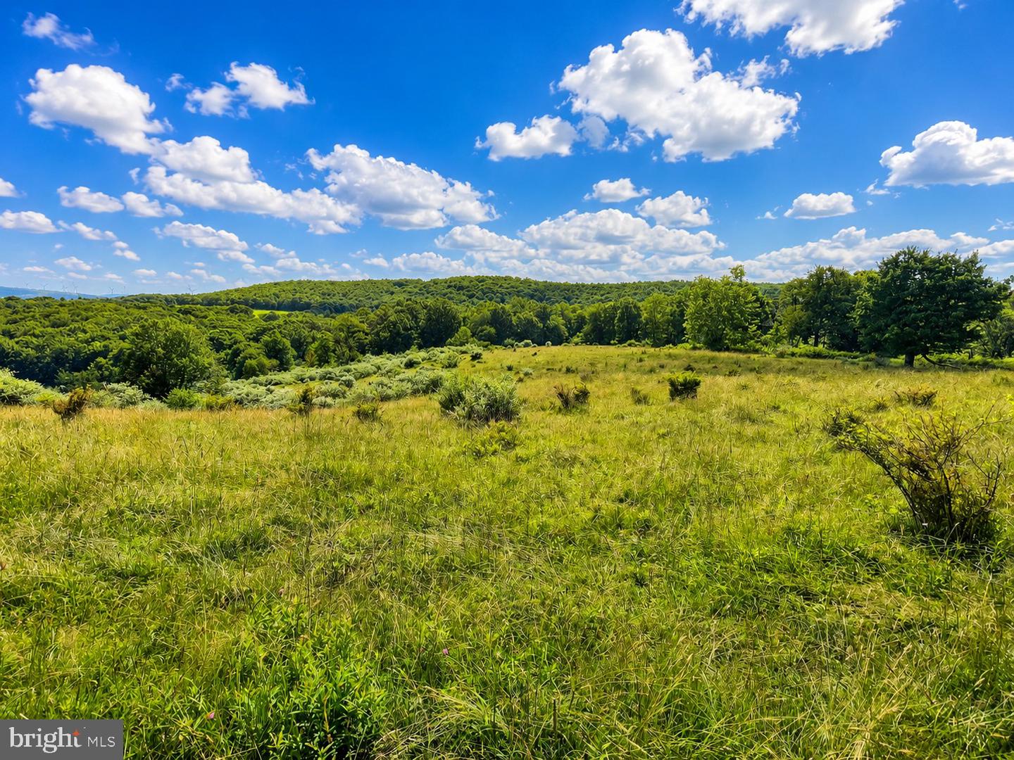 97 Acres Lot C Garrett Road Property Photo 4