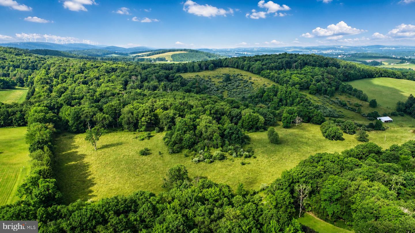 97 Acres Lot C Garrett Road Property Photo 8