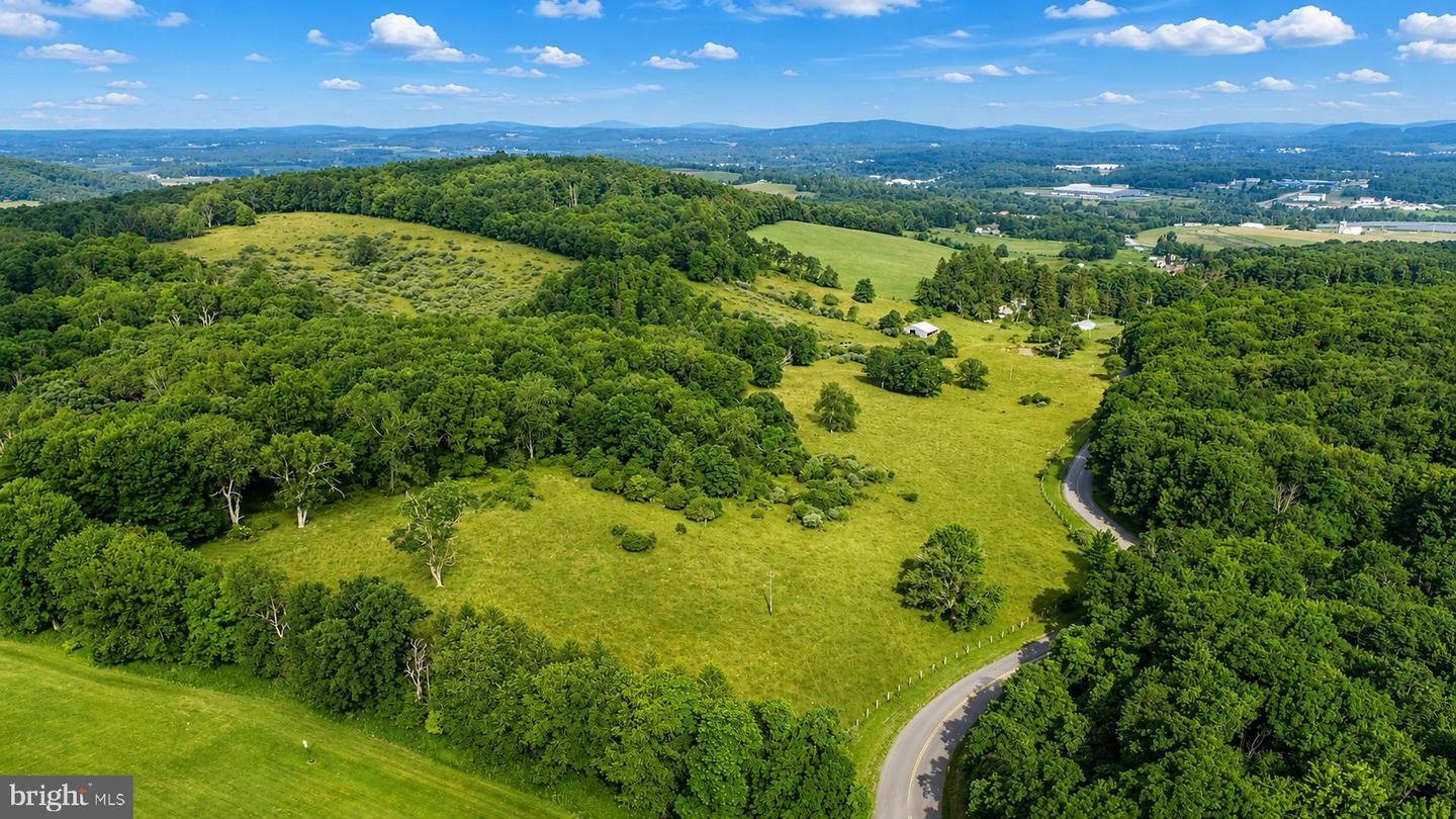 97 Acres Lot C Garrett Road Property Photo 11