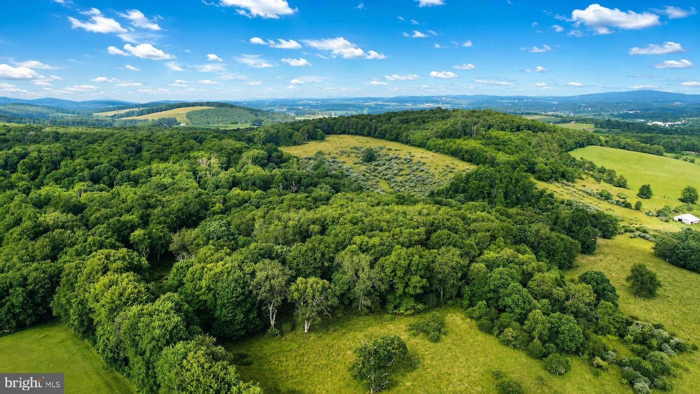 97 Acres Lot C Garrett Road Property Photo 12