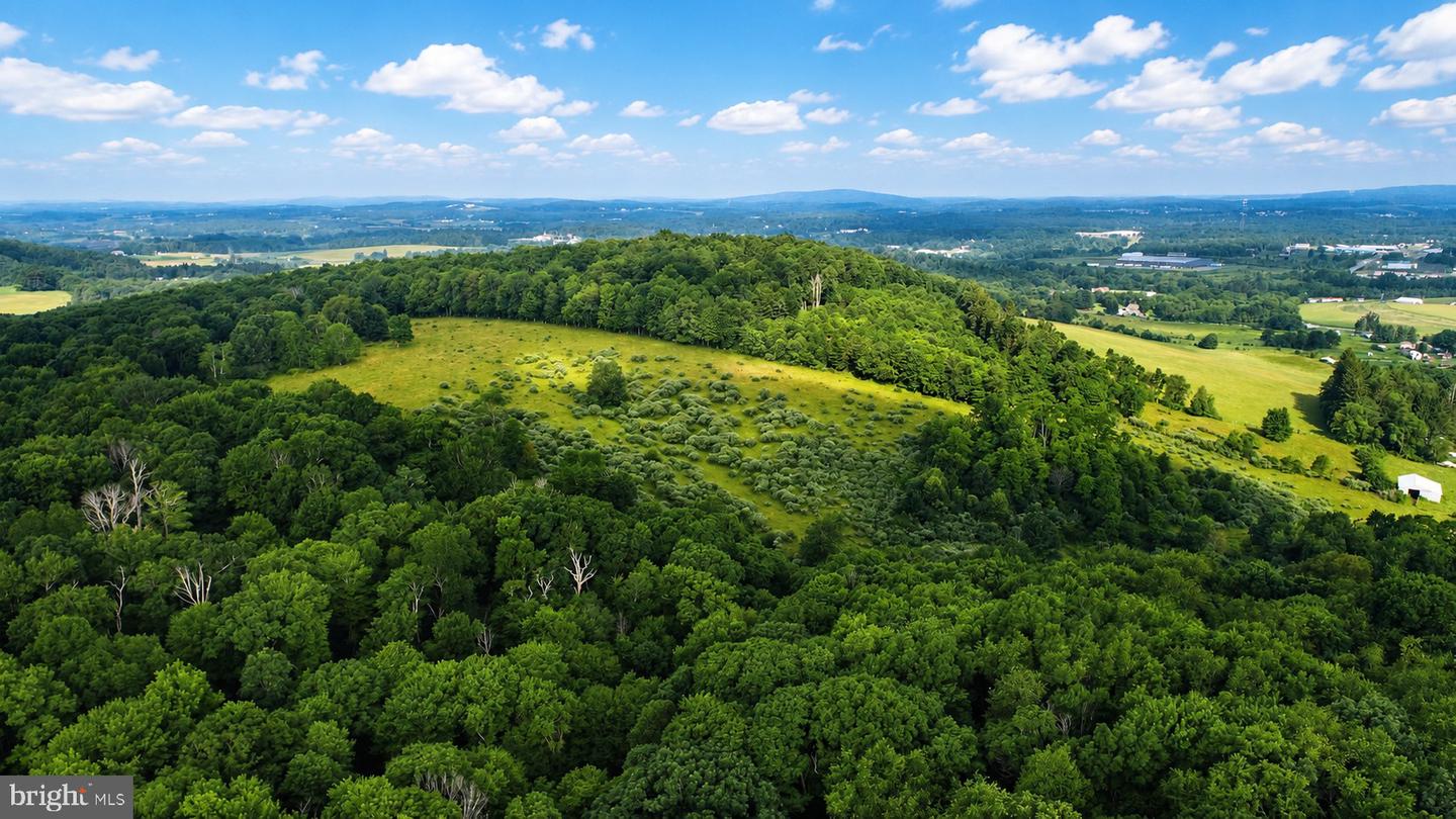97 Acres Lot C Garrett Road Property Photo 13
