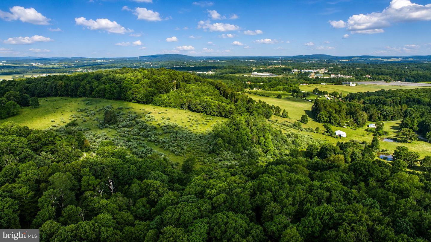 97 Acres Lot C Garrett Road Property Photo 14