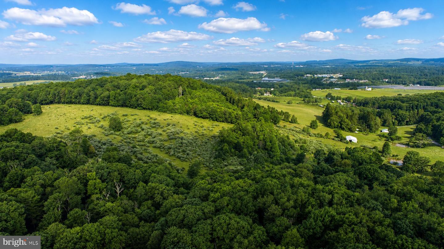 97 Acres Lot C Garrett Road Property Photo 15