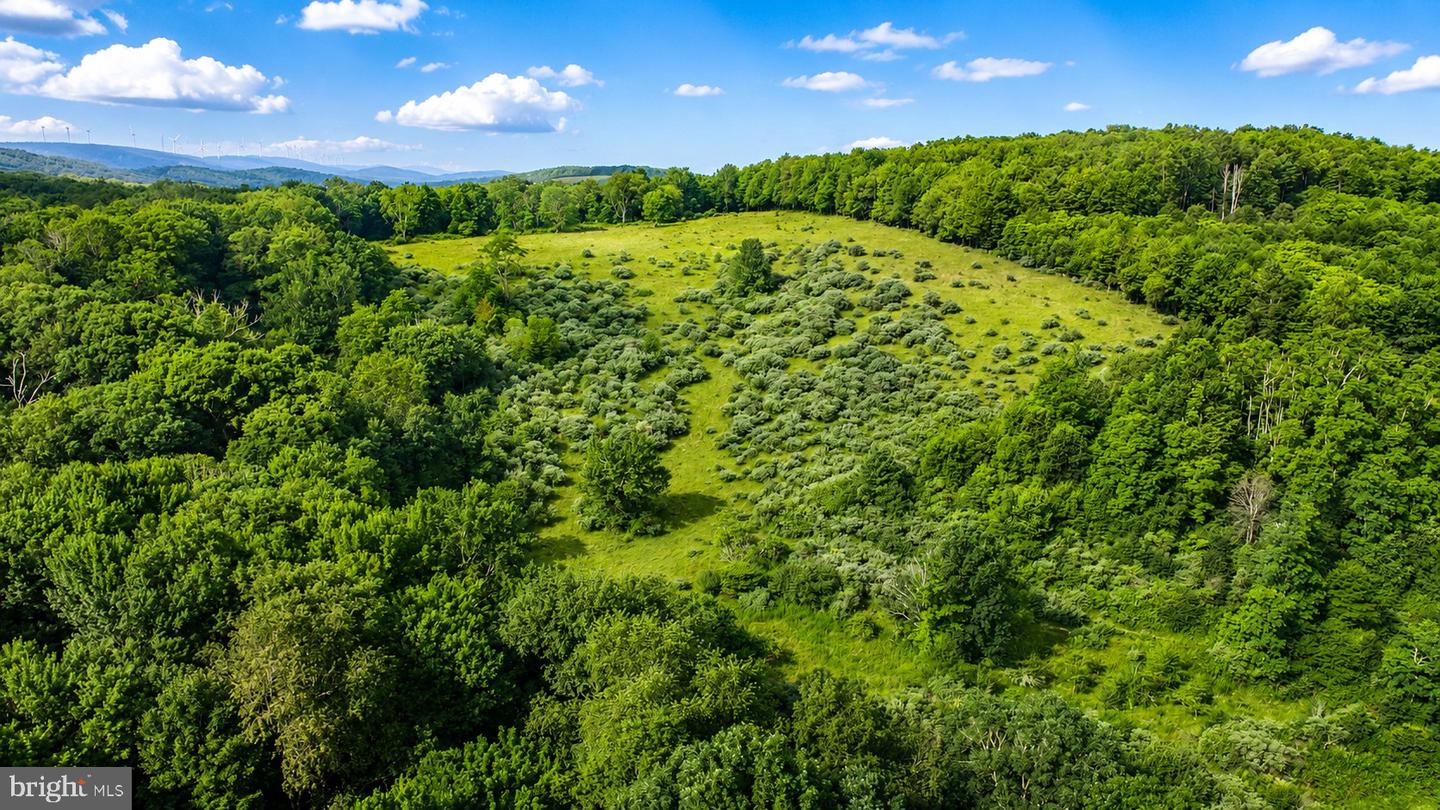 97 Acres Lot C Garrett Road Property Photo 18