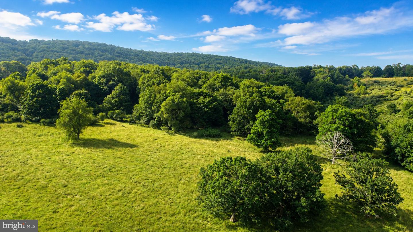 97 Acres Lot C Garrett Road Property Photo 19