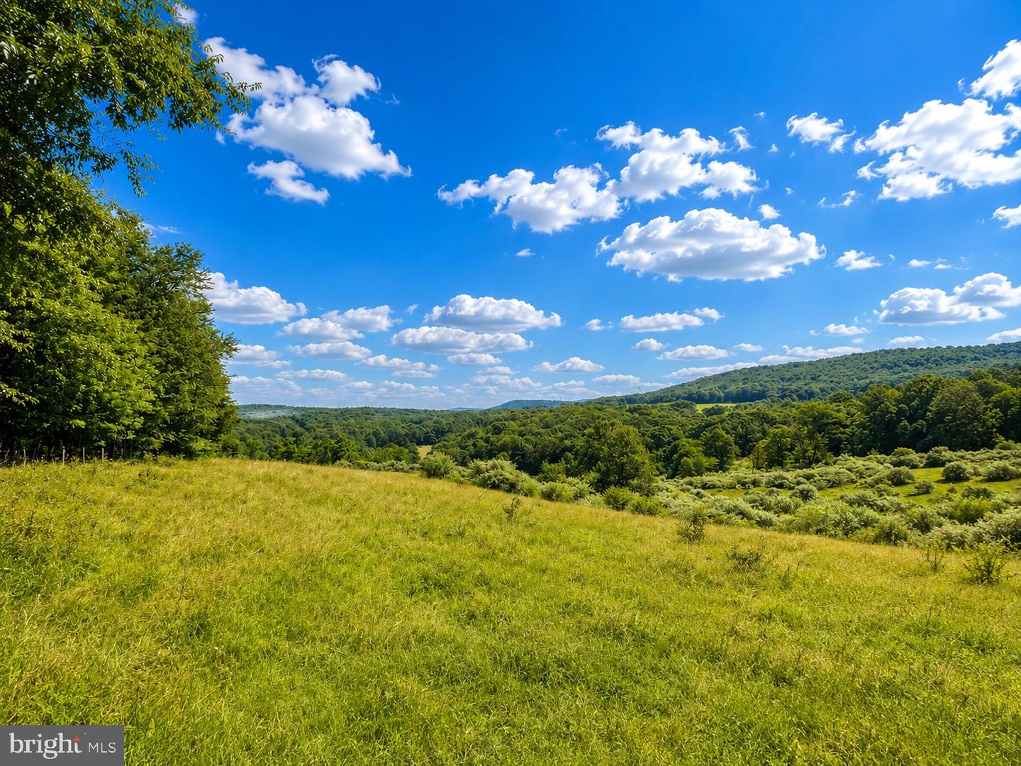 97 Acres Lot C Garrett Road Property Photo 20