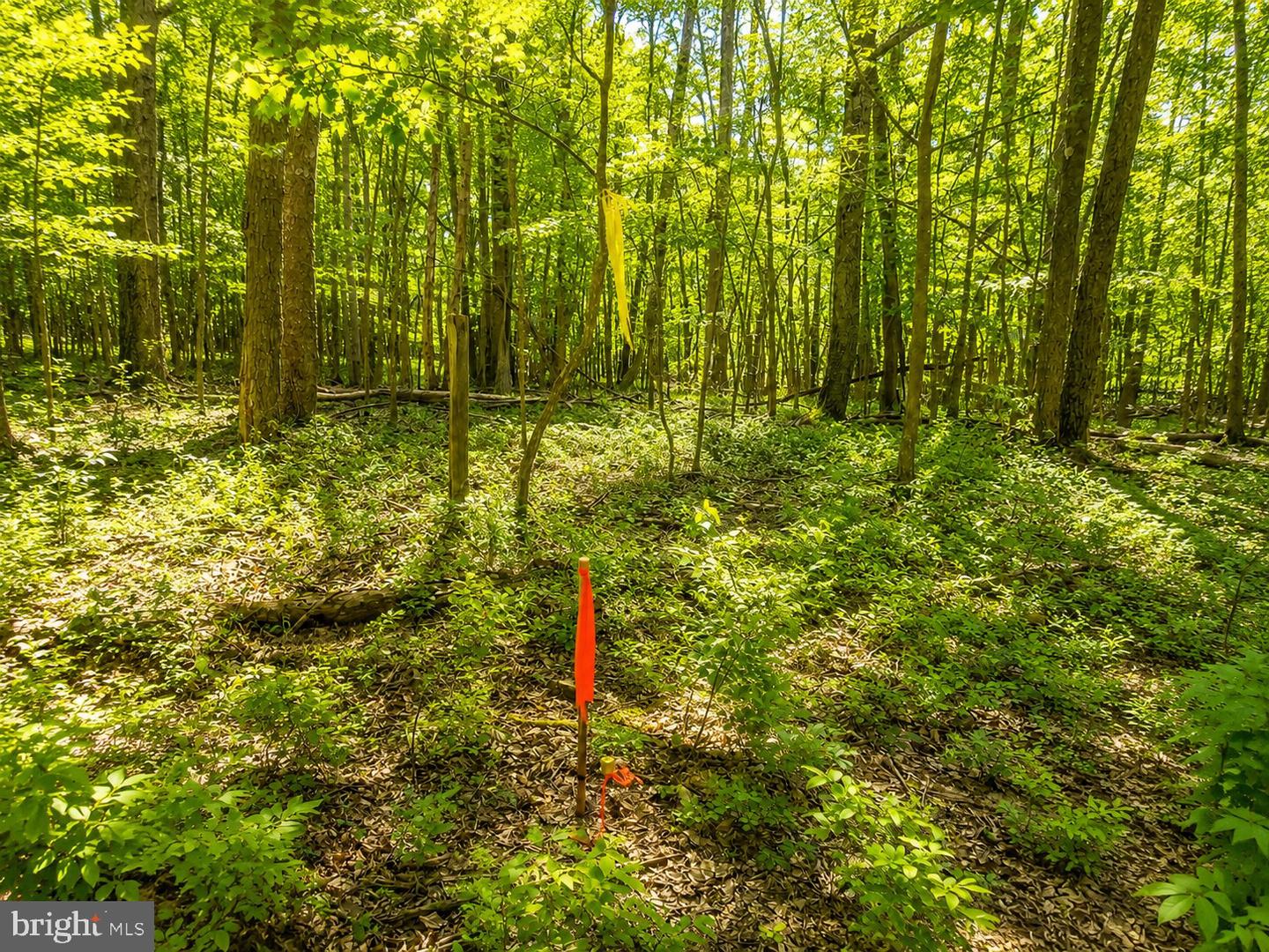 97 Acres Lot C Garrett Road Property Photo 21