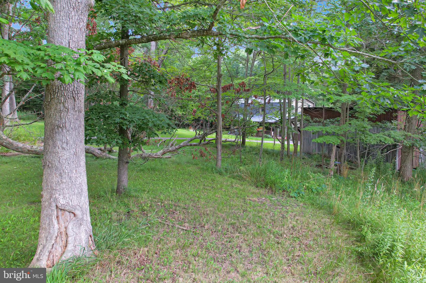 5154 Maryland Hwy Property Photo 58