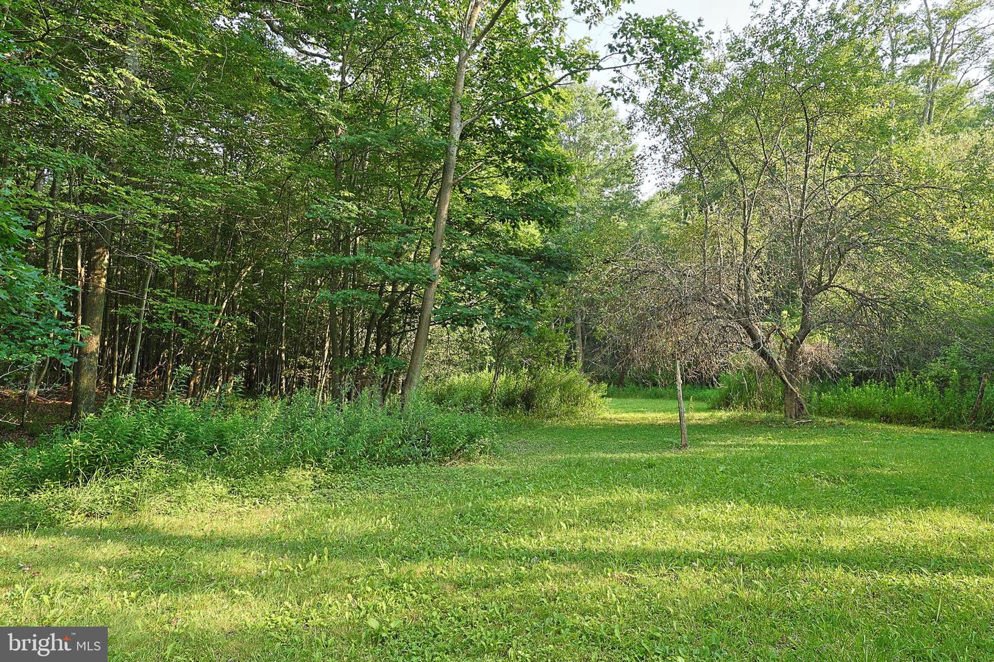 5154 Maryland Hwy Property Photo 62
