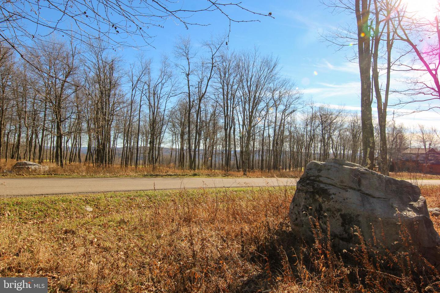Lot 50 Biltmore Ridge Trl Property Photo 2