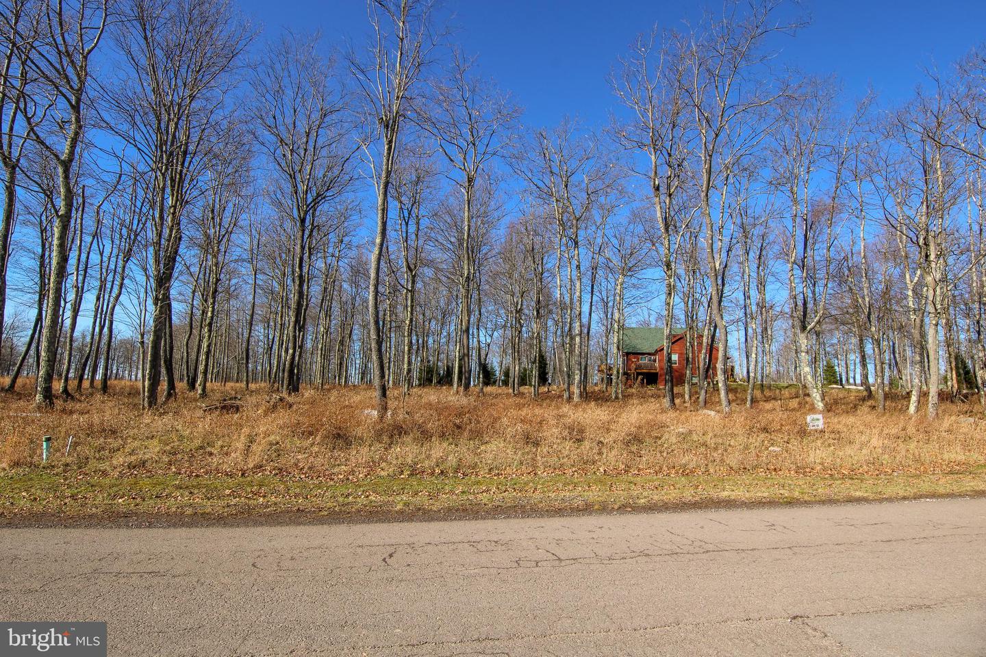 Lot 50 Biltmore Ridge Trl Property Photo 4