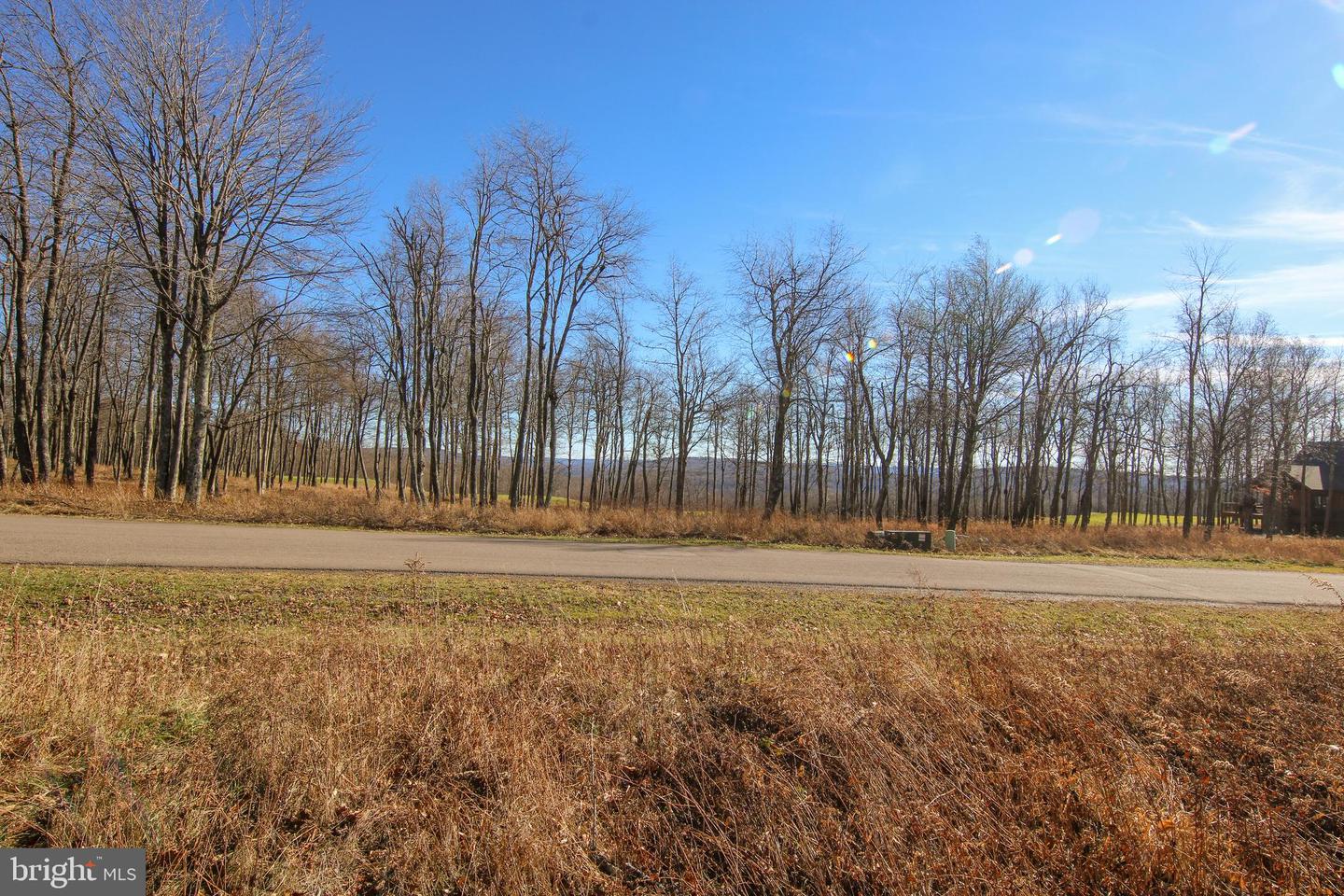 Lot 50 Biltmore Ridge Trl Property Photo 7