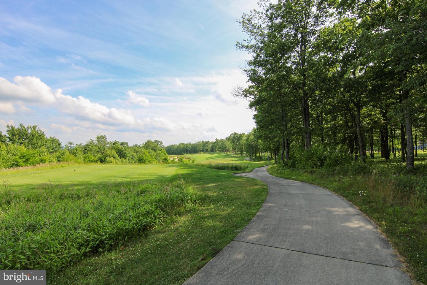 Lot 50 Biltmore Ridge Trl Property Photo 13